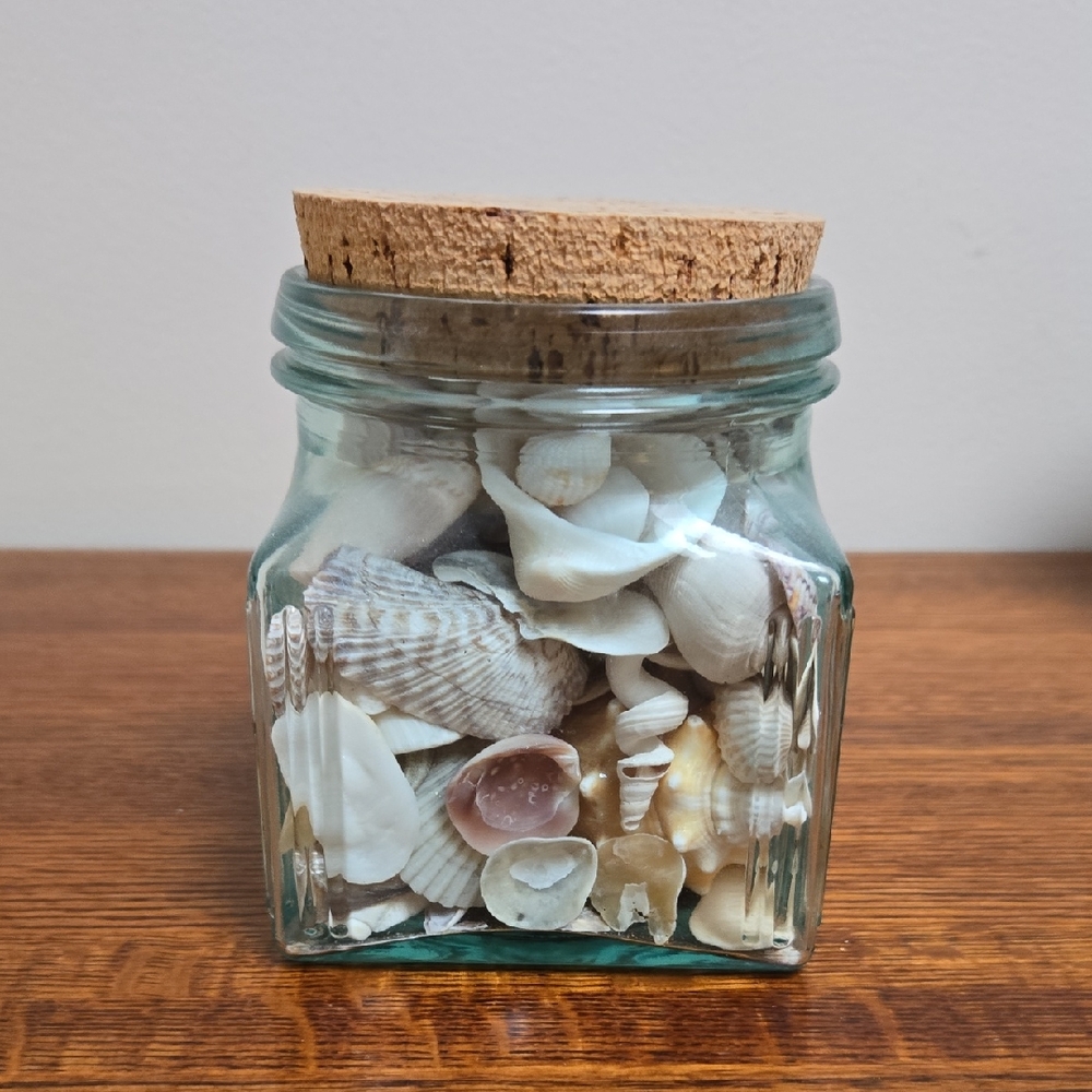 REAL Shells In Green Glass Jar w/Cork Top